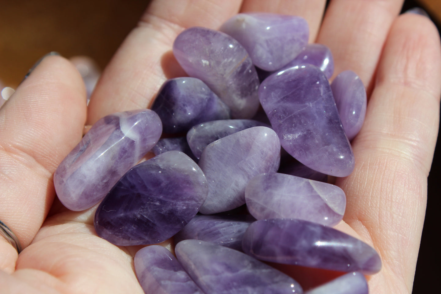Lavender & Rose Mix