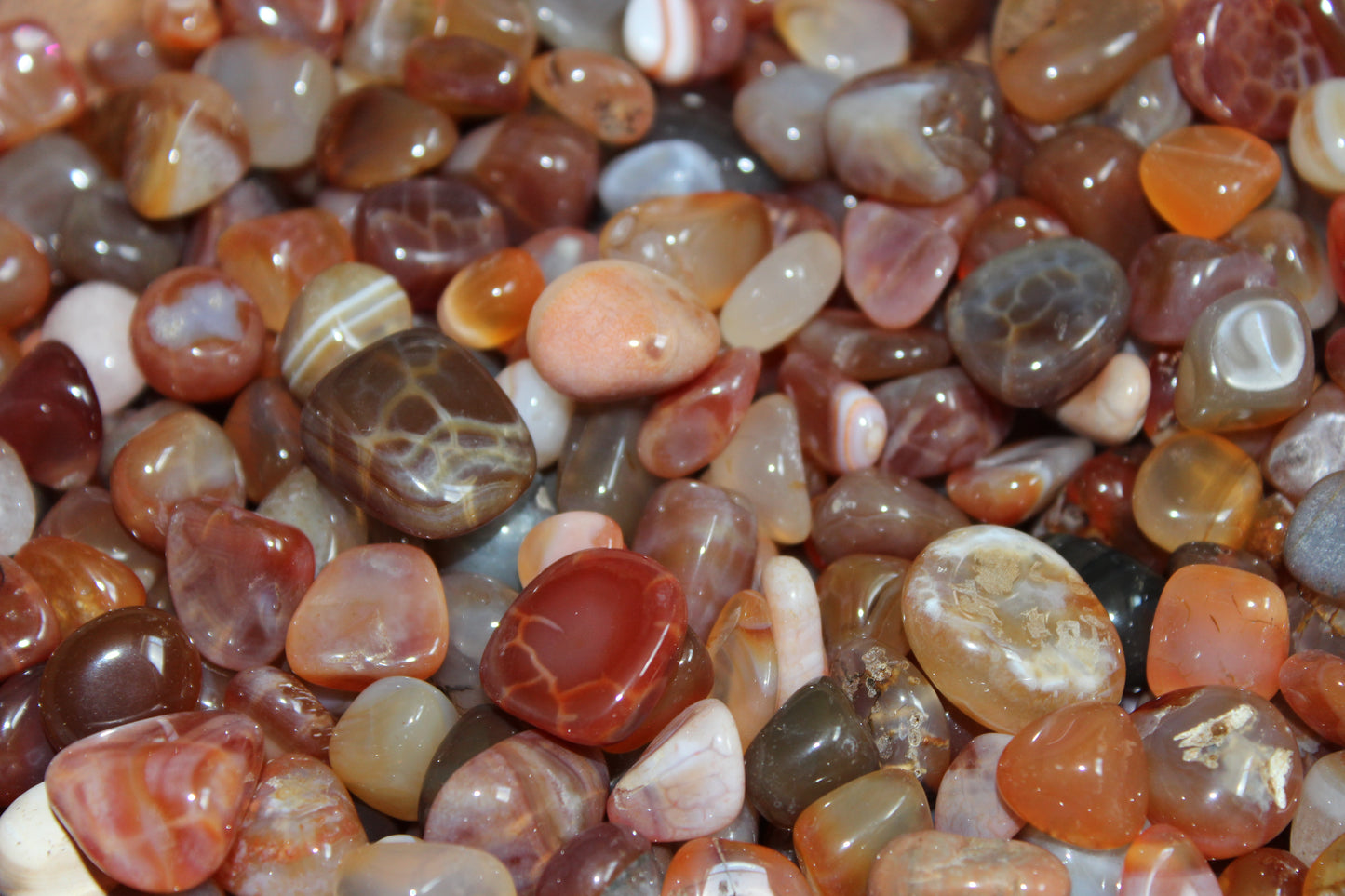 Fire Agate Tumbled Mini Stones