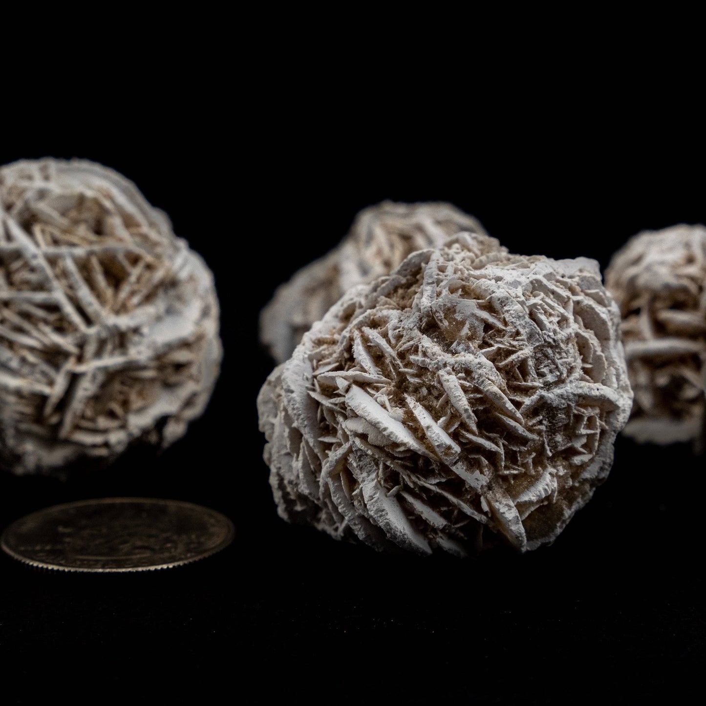 Desert Rose Selenite