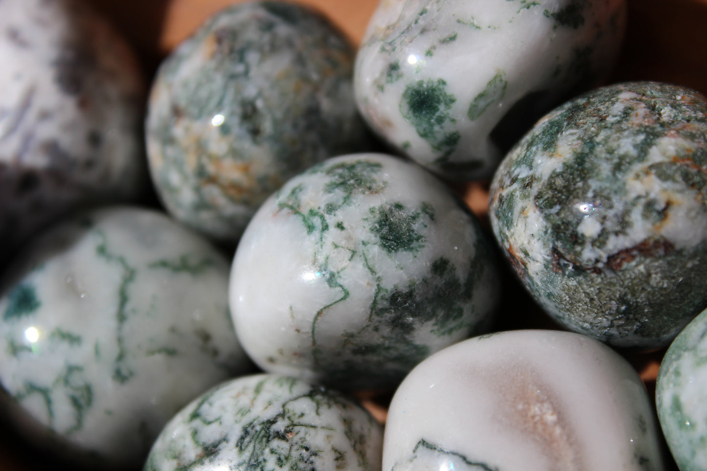 Tree Agate Tumble