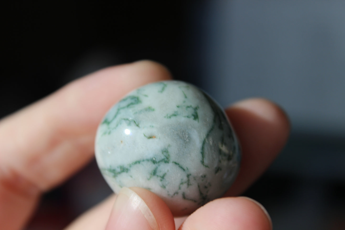 Tree Agate Tumble