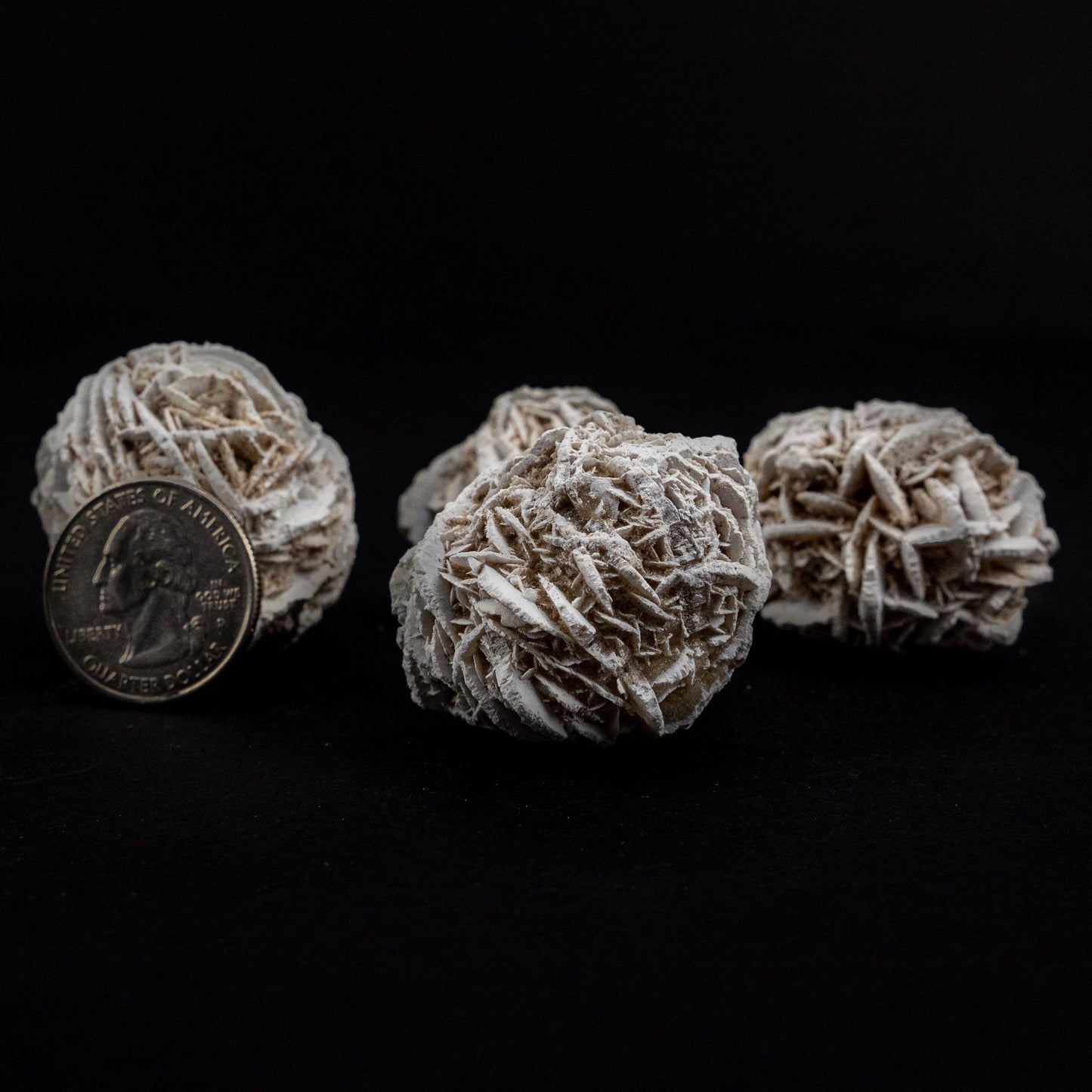 Desert Rose Selenite